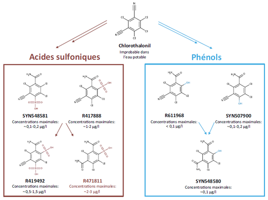 chlorothalonil