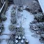 CASTRO FIGUEIREDO_LUCAS_JARDIN D'HIVER_25.01.2021.jpg