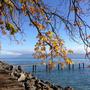 Pernet Nelly_un merveilleux automne au Chauchy_12.11.16.jpg