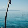Lier_Kathleen_Une girafe au bain des Dames_23.06.16.jpg