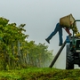 Vigneron en action