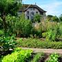 Viret_Didier_Lieux_de_cultures_31.07.2021..jpg