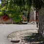 Forel Vieux-Collège