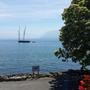 photo1_Taillecou