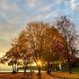 Jaussi_Didier_Jardin_d_automne_14_11_2021.jpg