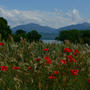 Dominique_Gaillot_bleu vert rouge_15.06.19.jpg